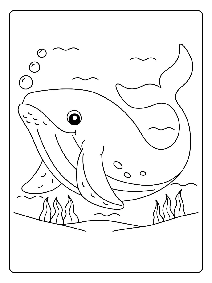 Ballena jorobada para colorear