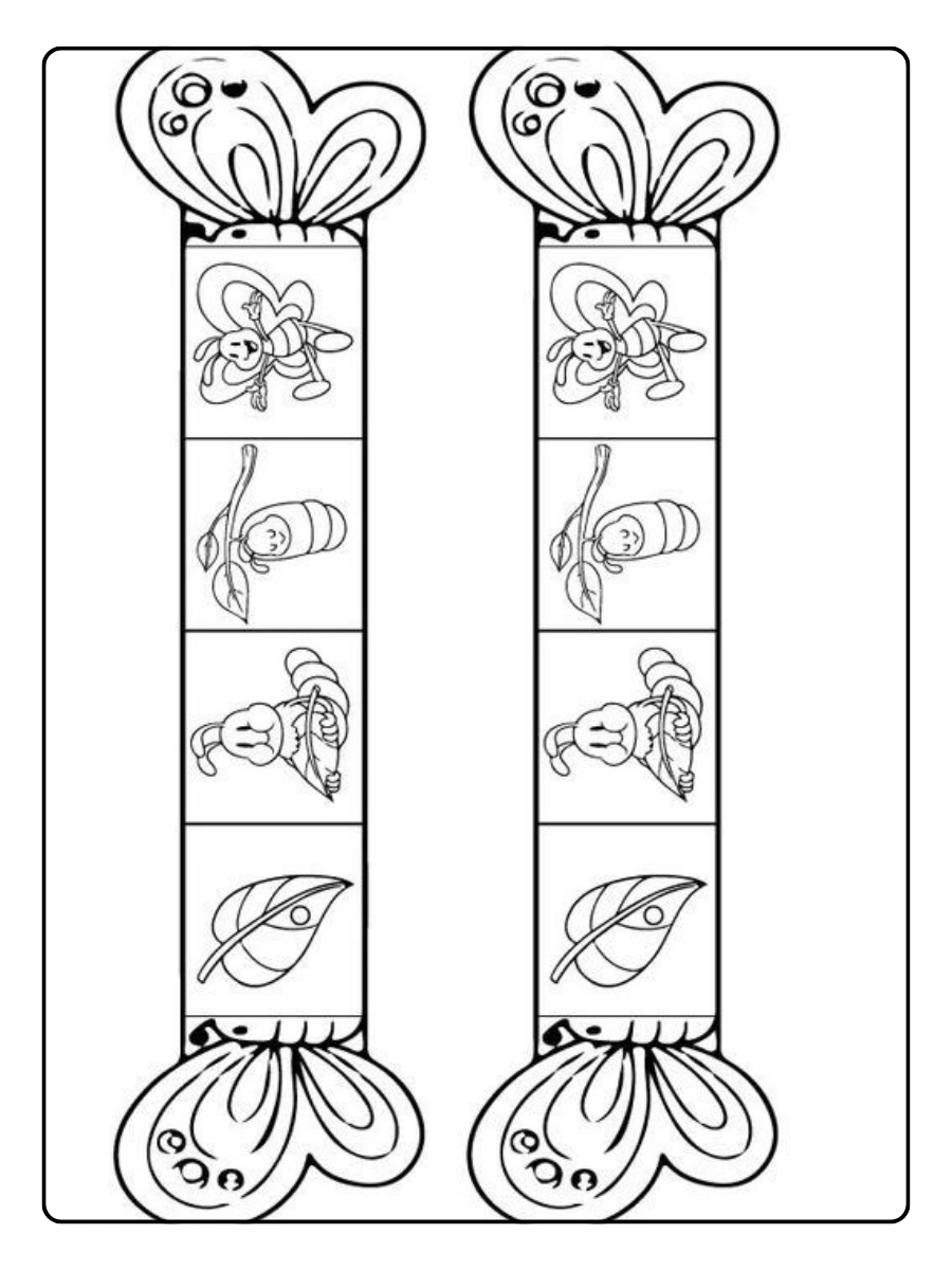Diagrama del ciclo de vida de la mariposa para colorear