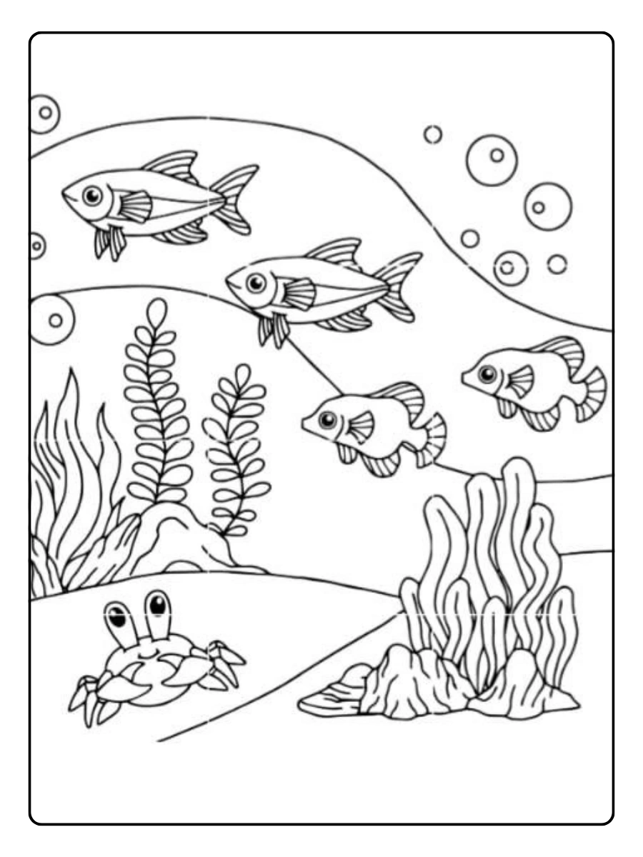 Pez bonito para colorear