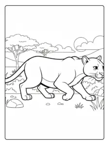 Puma para colorear acechando