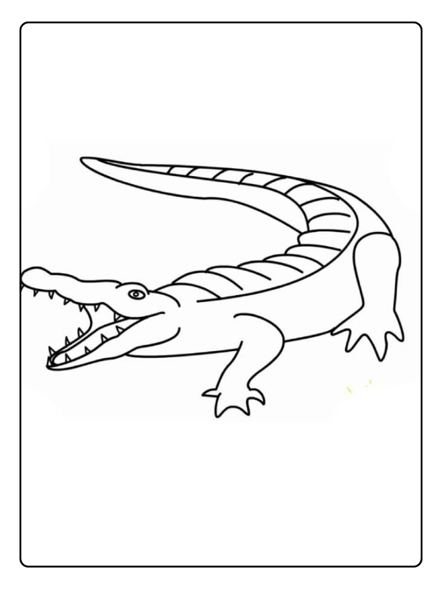 cocodrilo dibujo para ninos