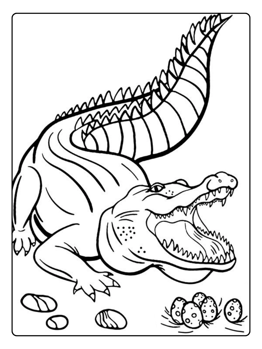cocodrilo gratis para colorear