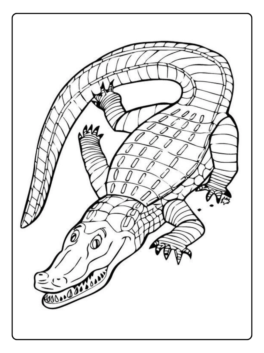 cocodrilo infantil colorear