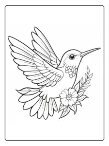 colibri para colorear (6)