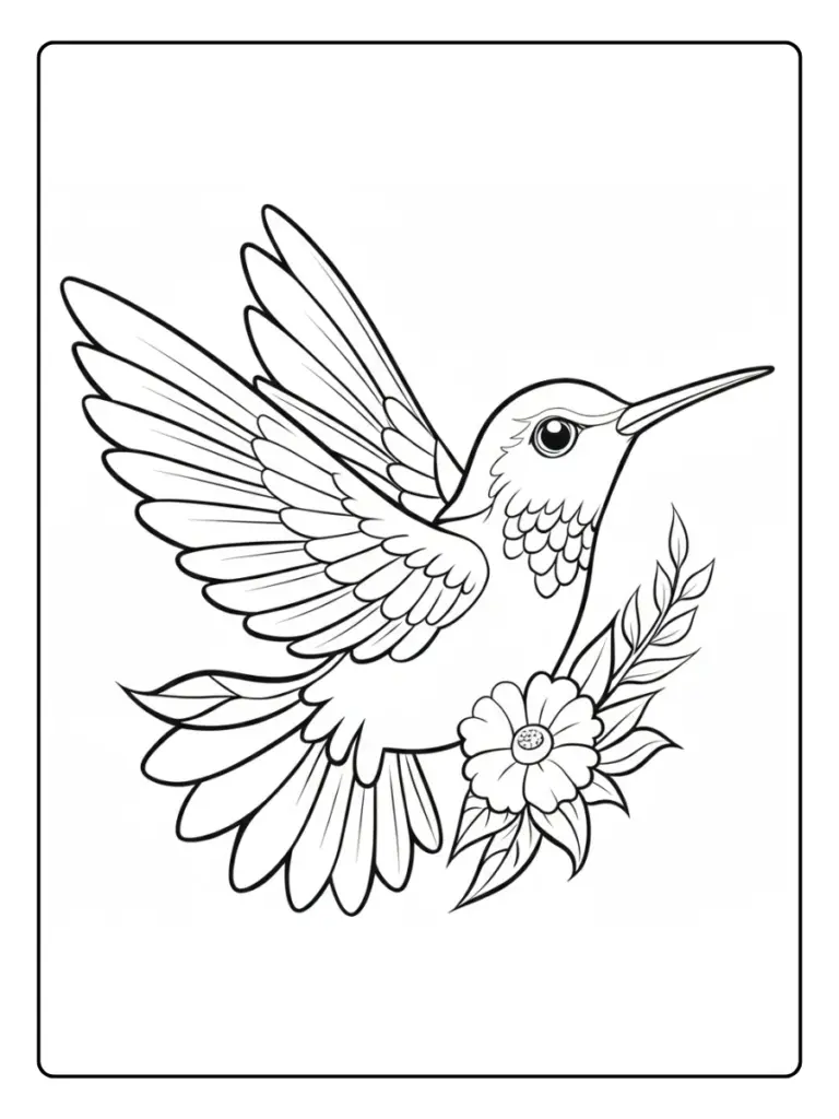 colibri para colorear (6)