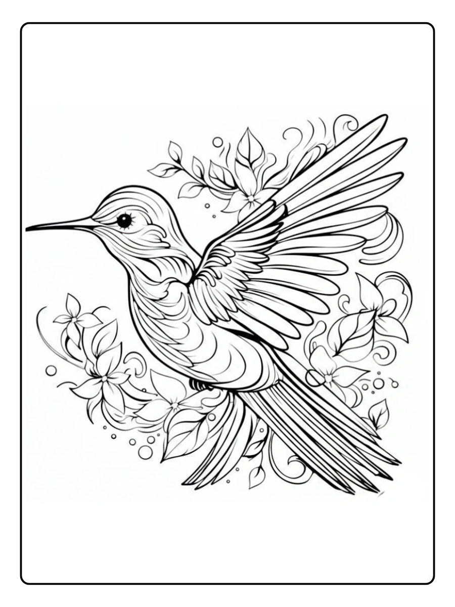 colibri para colorear (9)
