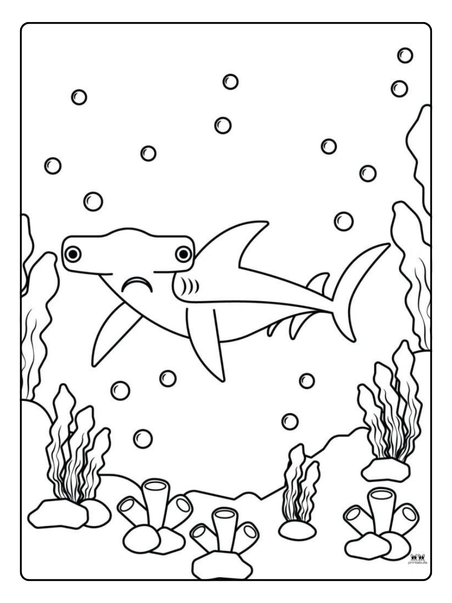 dibujos animales tiburon martillo