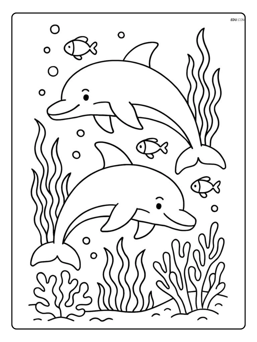 dibujos animales tiburon