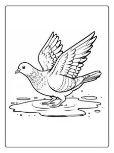 paloma para colorear (11)