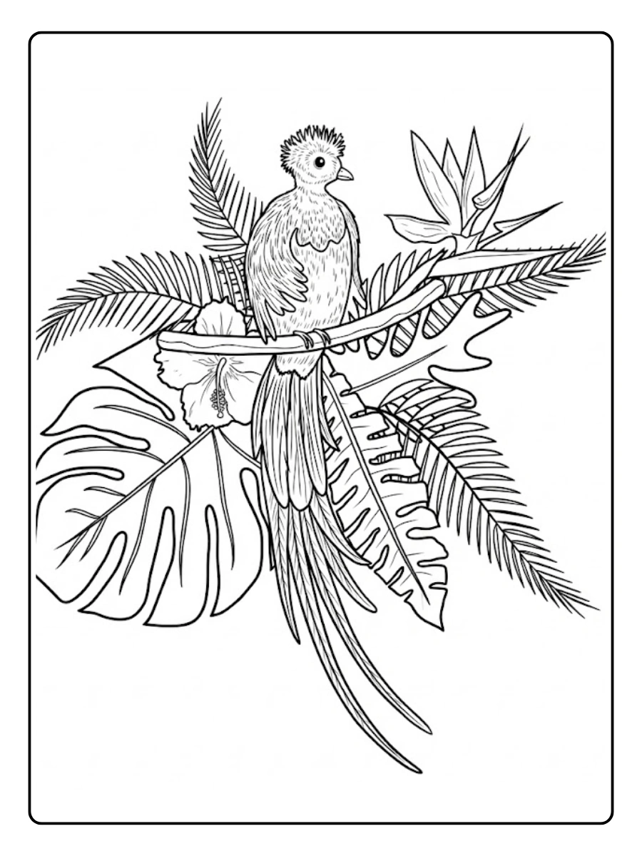quetzal para colorear (10)