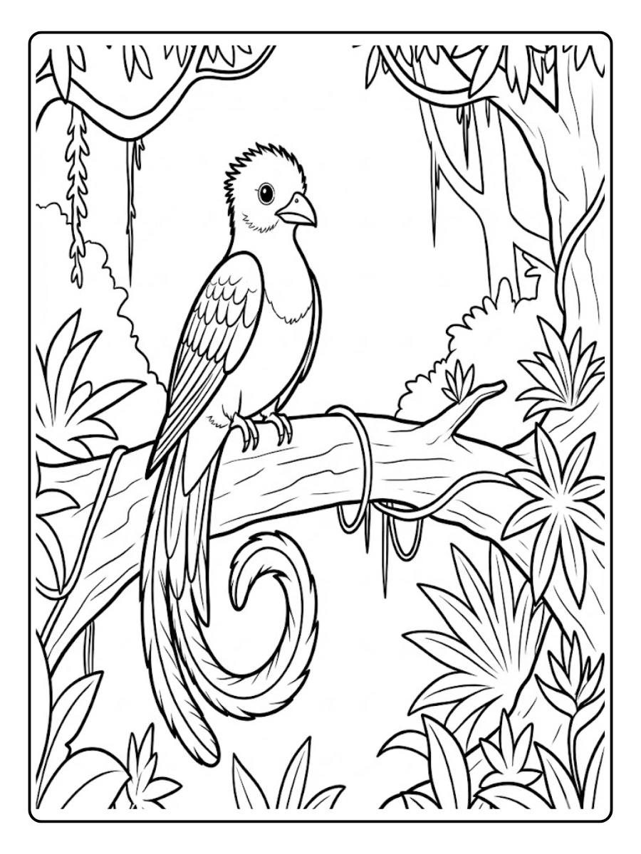 quetzal para colorear (13)