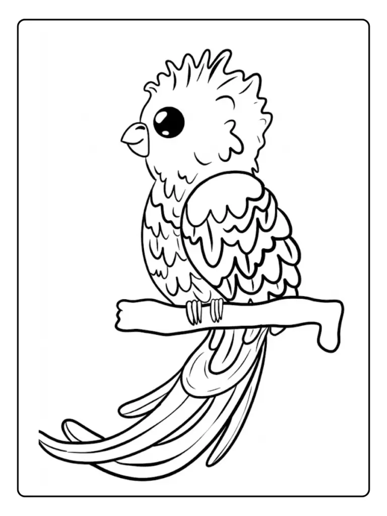 quetzal para colorear (15)