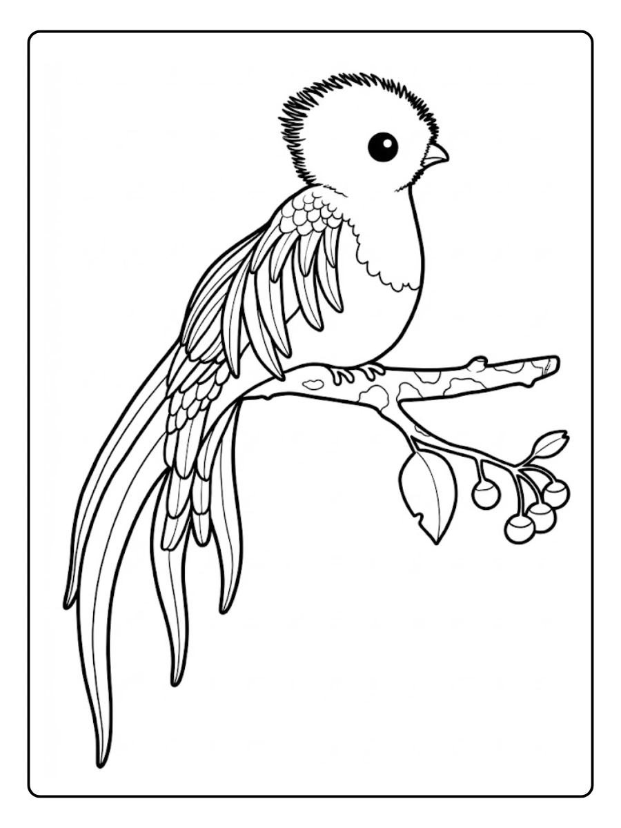 quetzal para colorear (2)