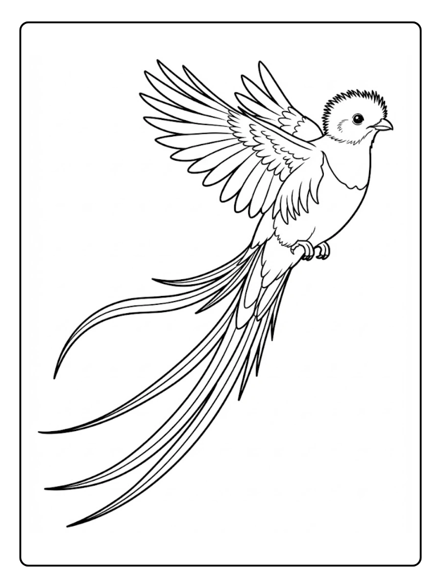 quetzal para colorear (7)