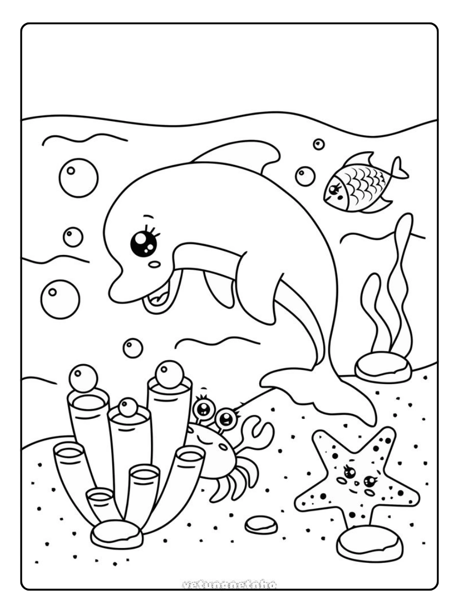 tiburon dibujo educativo